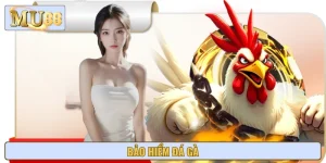 Chương Trình Bảo Hiểm Đá Gà – Hoàn Tiền Thua Lên Đến 8.888k