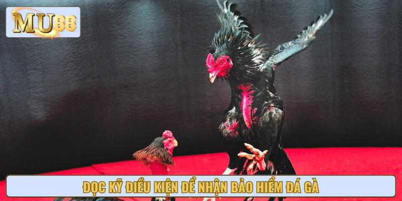 Điều kiện nhận bảo hiểm anh em cần nắm rõ