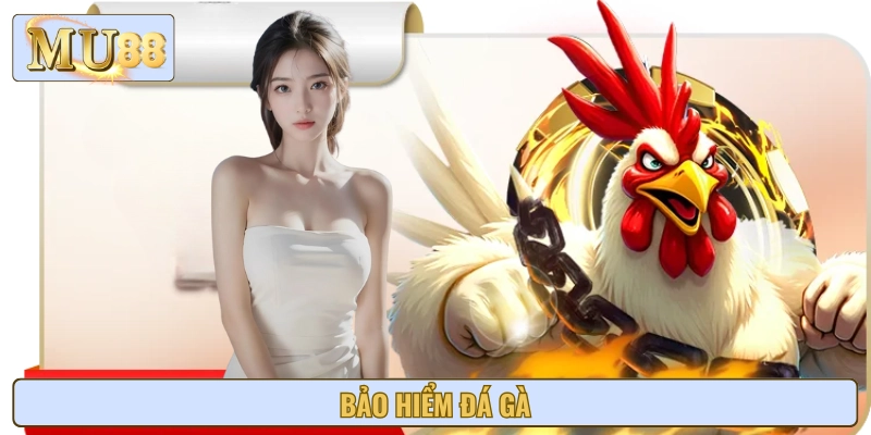 Chương Trình Bảo Hiểm Đá Gà – Hoàn Tiền Thua Lên Đến 8.888k
