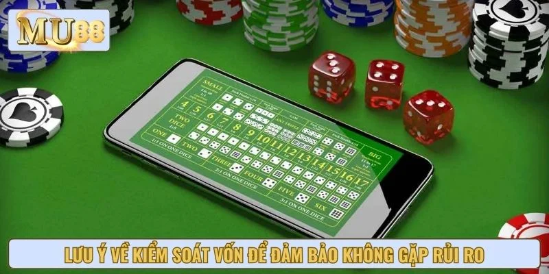 Lưu ý về kiểm soát vốn để đảm bảo không gặp rủi ro