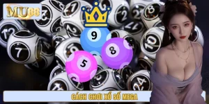 Cách Chơi Xổ Số Mega 💥Đơn Giản, Dễ Hiểu Và Trúng Thưởng Cao