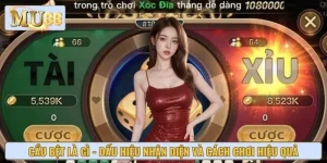 Cầu Bệt Là Gì - Dấu Hiệu Nhận Diện Và Cách Chơi Hiệu Quả
