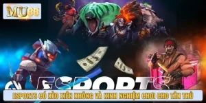 Esports Có Kèo Xiên Không Và Kinh Nghiệm Chơi Cho Tân Thủ