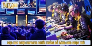 Mẹo Hay Cược Esports Chiến Thắng Dễ Dàng Cho Cược Thủ