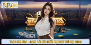 Trác Kim Hoa - Game Bài Lôi Cuốn Mọi Bet Thủ Tại MU88