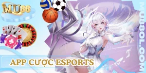 app-cuoc-esports