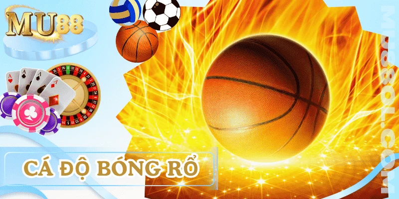 ca-do-bong-ro