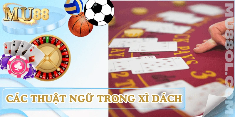 cach-choi-xi-dach-cac-thuat-ngu
