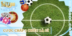 cuoc-chap-3-chieu-la-gi
