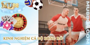 kinh-nghiem-ca-do-bong-ro