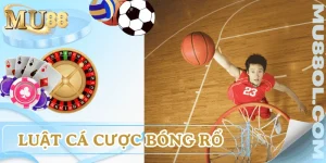 luat-ca-cuoc-bong-ro