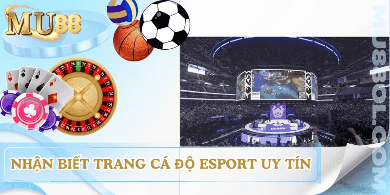 nhan-biet-trang-ca-cuoc-esport-uy-tin