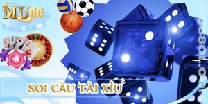 soi-cau-tai-xiu