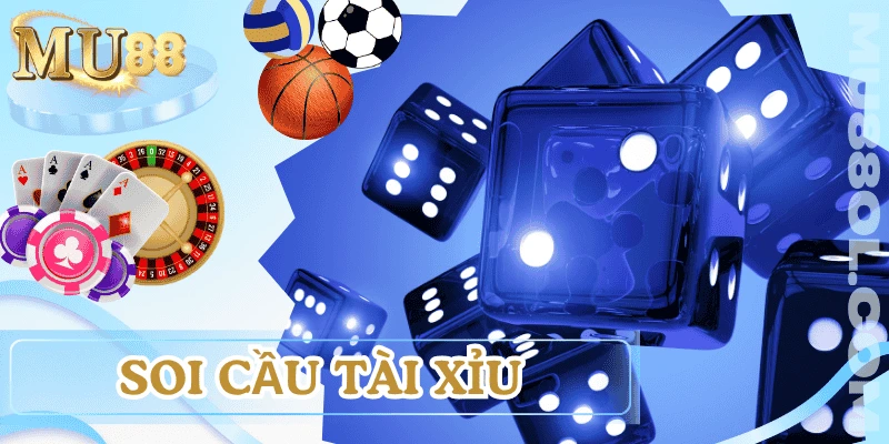 soi-cau-tai-xiu