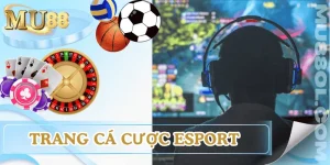 trang-ca-cuoc-esport